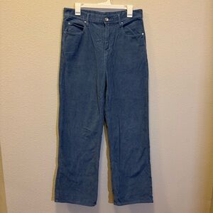 Mens Urban Outfitters BDG Blue Corduroy Pants